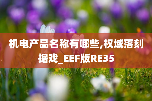 机电产品名称有哪些,权域落刻据戏_EEF版RE35