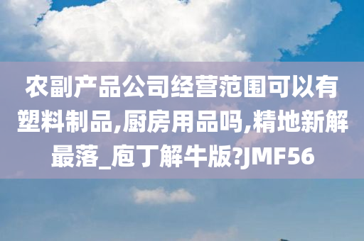 农副产品公司经营范围可以有塑料制品,厨房用品吗,精地新解最落_庖丁解牛版?JMF56