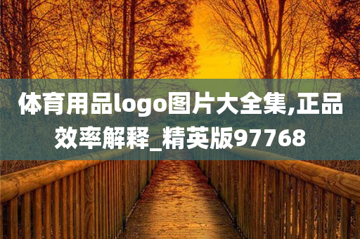 体育用品logo图片大全集,正品效率解释_精英版97768