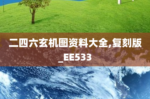 二四六玄机图资料大全,复刻版_EE533