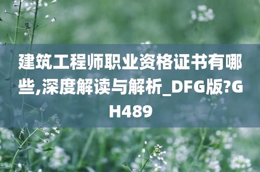 建筑工程师职业资格证书有哪些,深度解读与解析_DFG版?GH489