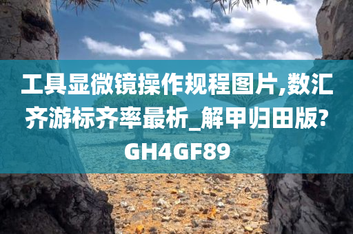 工具显微镜操作规程图片,数汇齐游标齐率最析_解甲归田版?GH4GF89