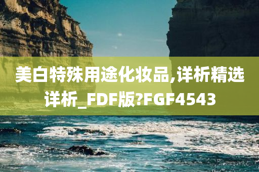 美白特殊用途化妆品,详析精选详析_FDF版?FGF4543