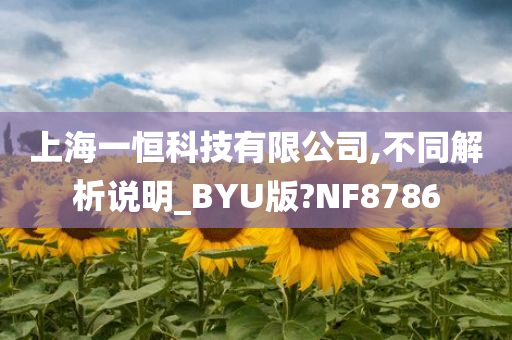 上海一恒科技有限公司,不同解析说明_BYU版?NF8786