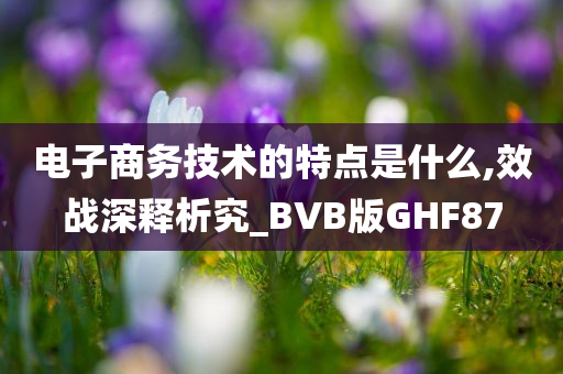 电子商务技术的特点是什么,效战深释析究_BVB版GHF87