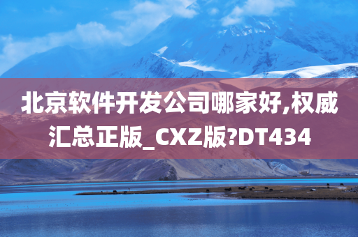 北京软件开发公司哪家好,权威汇总正版_CXZ版?DT434