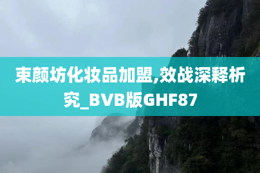 束颜坊化妆品加盟,效战深释析究_BVB版GHF87