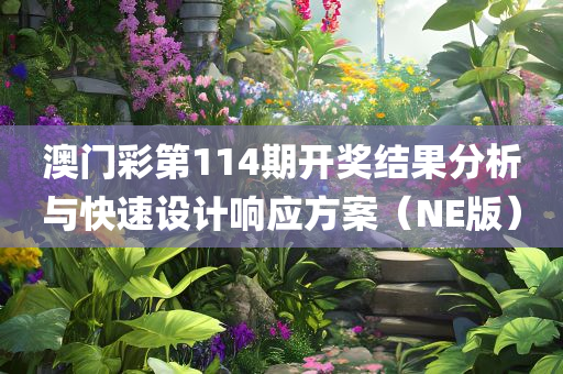 澳门彩第114期开奖结果分析与快速设计响应方案（NE版）