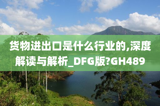 货物进出口是什么行业的,深度解读与解析_DFG版?GH489