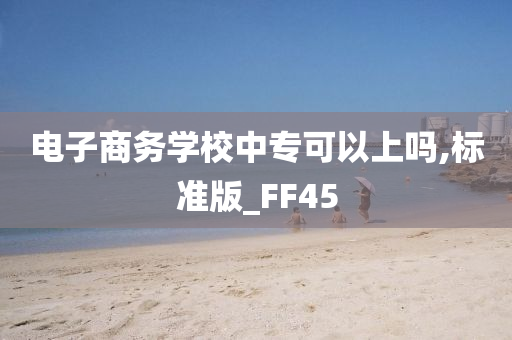 电子商务学校中专可以上吗,标准版_FF45