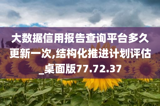 大数据信用报告查询平台多久更新一次,结构化推进计划评估_桌面版77.72.37