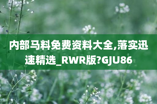 内部马料免费资料大全,落实迅速精选_RWR版?GJU86