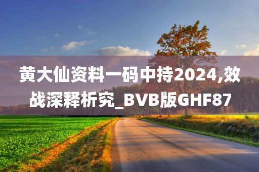 黄大仙资料一码中持2024,效战深释析究_BVB版GHF87