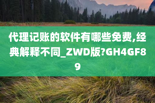 代理记账的软件有哪些免费,经典解释不同_ZWD版?GH4GF89