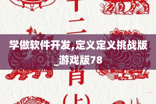 学做软件开发,定义定义挑战版_游戏版78