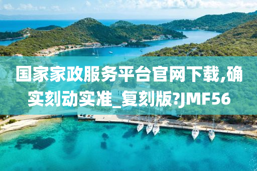 国家家政服务平台官网下载,确实刻动实准_复刻版?JMF56