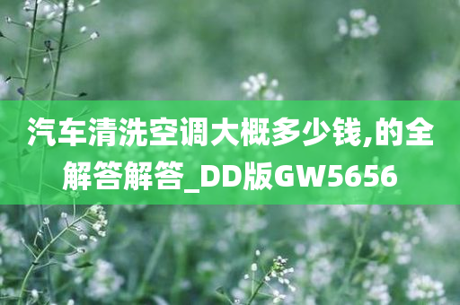 汽车清洗空调大概多少钱,的全解答解答_DD版GW5656