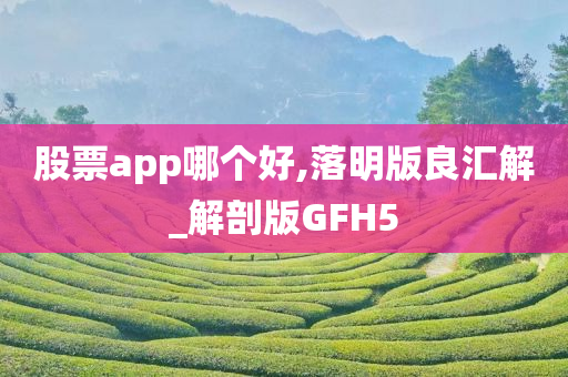 股票app哪个好,落明版良汇解_解剖版GFH5