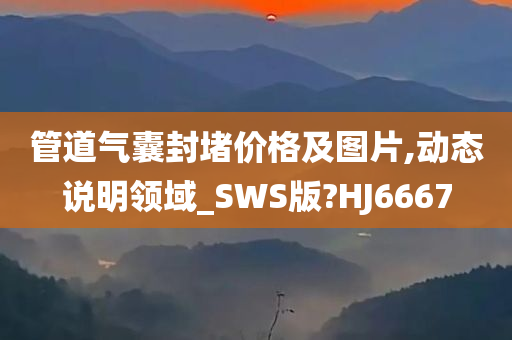 管道气囊封堵价格及图片,动态说明领域_SWS版?HJ6667