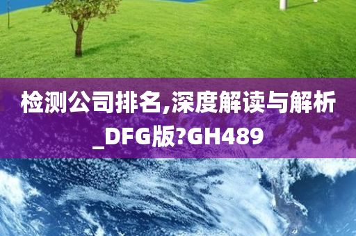 检测公司排名,深度解读与解析_DFG版?GH489