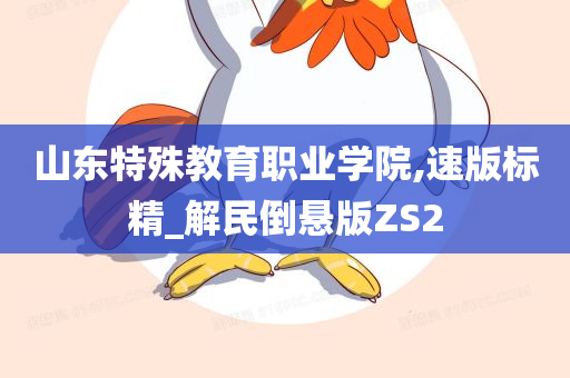 山东特殊教育职业学院,速版标精_解民倒悬版ZS2