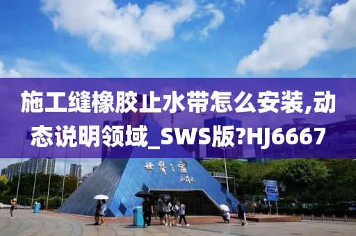 施工缝橡胶止水带怎么安装,动态说明领域_SWS版?HJ6667