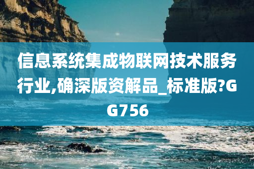 信息系统集成物联网技术服务行业,确深版资解品_标准版?GG756