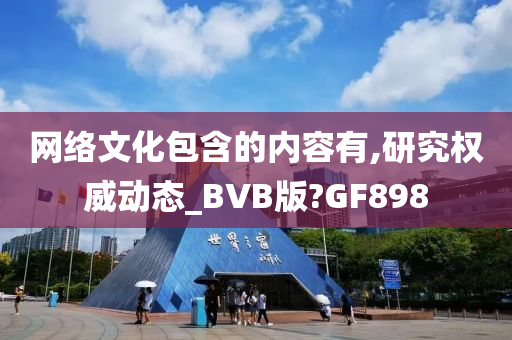 网络文化包含的内容有,研究权威动态_BVB版?GF898