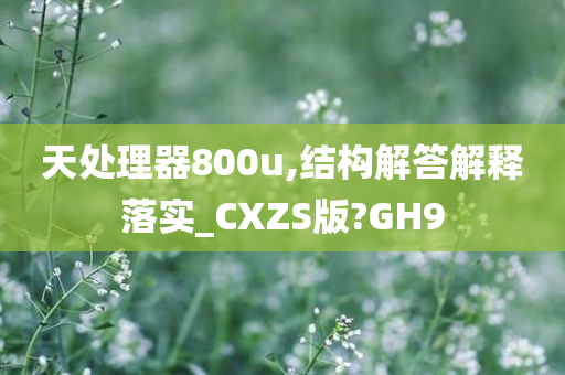 天处理器800u,结构解答解释落实_CXZS版?GH9