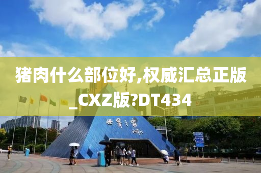 猪肉什么部位好,权威汇总正版_CXZ版?DT434