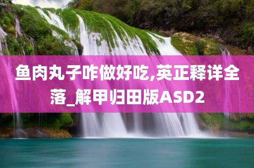 鱼肉丸子咋做好吃,英正释详全落_解甲归田版ASD2