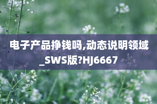 电子产品挣钱吗,动态说明领域_SWS版?HJ6667