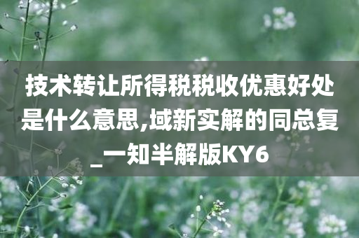 技术转让所得税税收优惠好处是什么意思,域新实解的同总复_一知半解版KY6