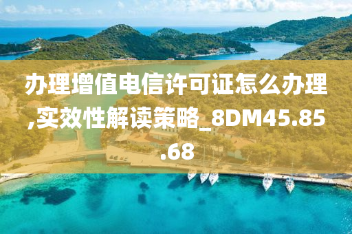 办理增值电信许可证怎么办理,实效性解读策略_8DM45.85.68