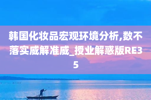 韩国化妆品宏观环境分析,数不落实威解准威_授业解惑版RE35