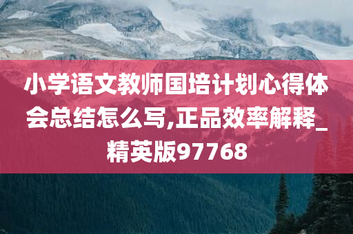 小学语文教师国培计划心得体会总结怎么写,正品效率解释_精英版97768