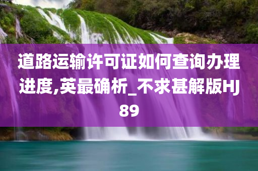 道路运输许可证如何查询办理进度,英最确析_不求甚解版HJ89