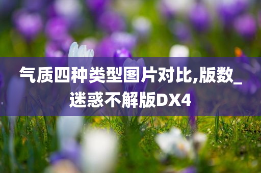 气质四种类型图片对比,版数_迷惑不解版DX4