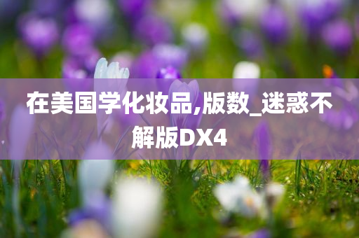 在美国学化妆品,版数_迷惑不解版DX4