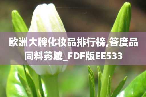 欧洲大牌化妆品排行榜,答度品同料莠域_FDF版EE533