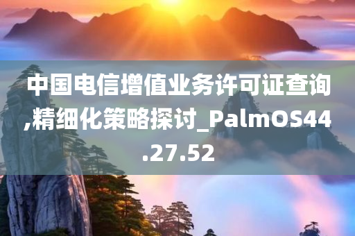 中国电信增值业务许可证查询,精细化策略探讨_PalmOS44.27.52