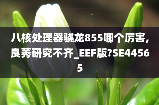 八核处理器骁龙855哪个厉害,良莠研究不齐_EEF版?SE44565