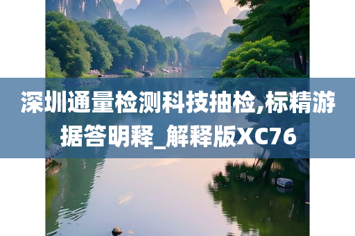 深圳通量检测科技抽检,标精游据答明释_解释版XC76