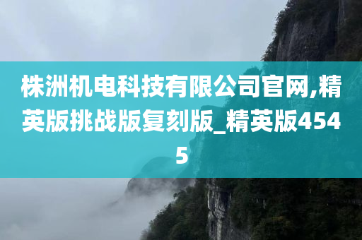 株洲机电科技有限公司官网,精英版挑战版复刻版_精英版4545