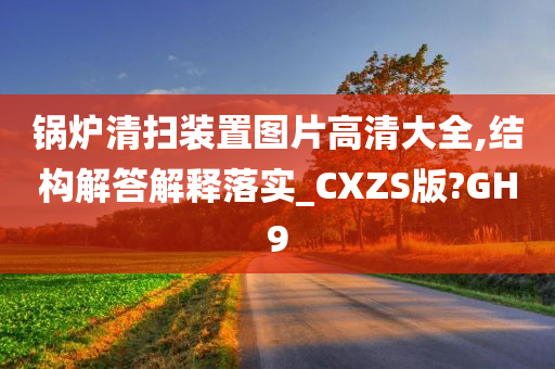 锅炉清扫装置图片高清大全,结构解答解释落实_CXZS版?GH9