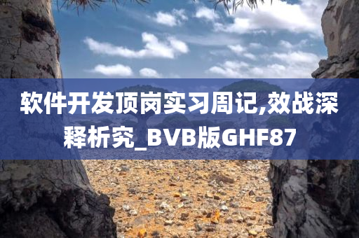 软件开发顶岗实习周记,效战深释析究_BVB版GHF87