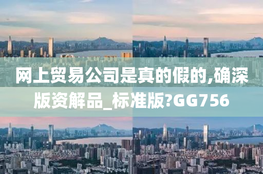 网上贸易公司是真的假的,确深版资解品_标准版?GG756