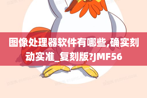 图像处理器软件有哪些,确实刻动实准_复刻版?JMF56