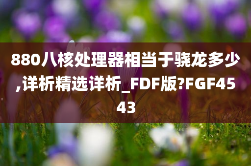 880八核处理器相当于骁龙多少,详析精选详析_FDF版?FGF4543