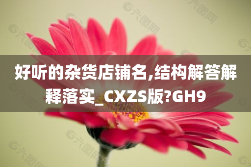 好听的杂货店铺名,结构解答解释落实_CXZS版?GH9